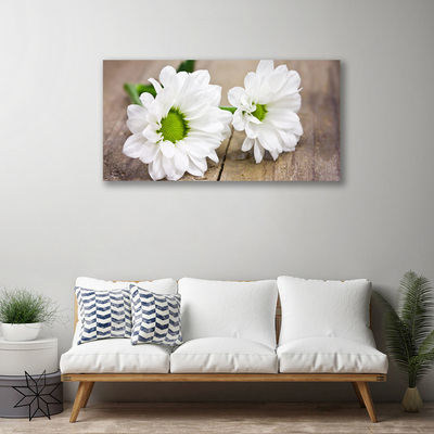 Quadro canvas Flores Planta Natureza