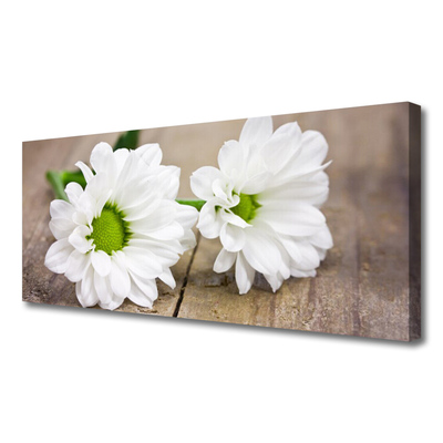 Quadro canvas Flores Planta Natureza