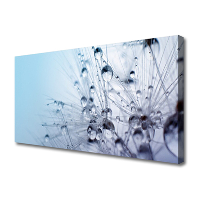 Quadro em tela Planta dente-de-leão