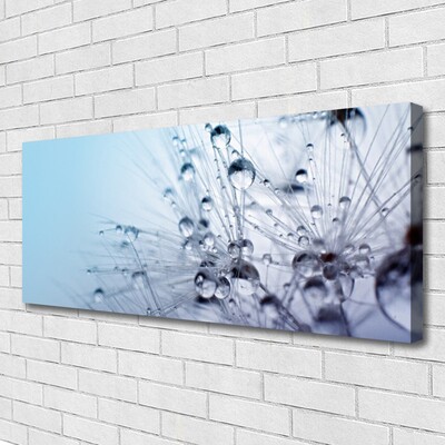 Quadro em tela Planta dente-de-leão