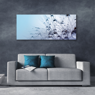 Quadro em tela Planta dente-de-leão