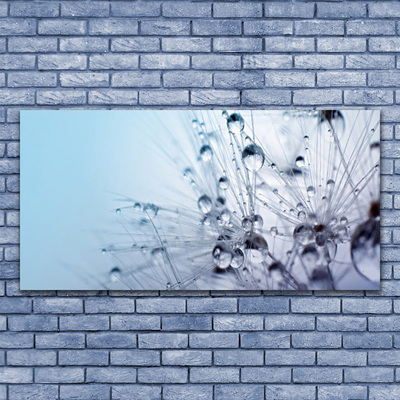 Quadro em tela Planta dente-de-leão