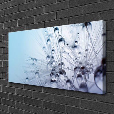 Quadro em tela Planta dente-de-leão