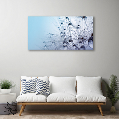 Quadro em tela Planta dente-de-leão