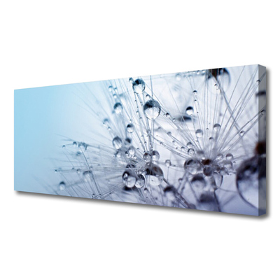 Quadro em tela Planta dente-de-leão