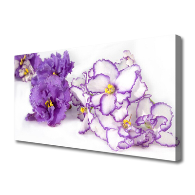 Quadro canvas Flor Planta Natureza