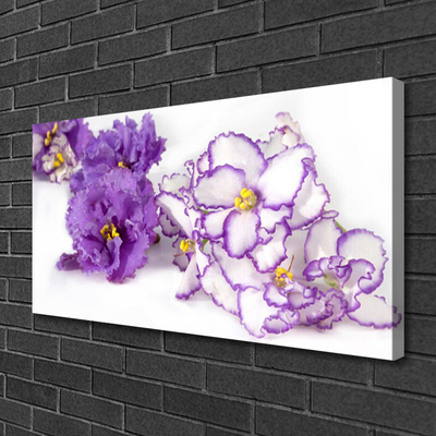 Quadro canvas Flor Planta Natureza