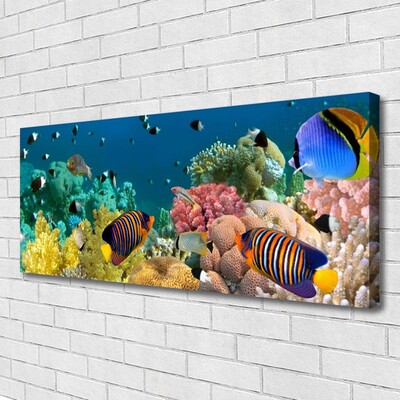 Quadro em tela Natureza dos recifes de corais