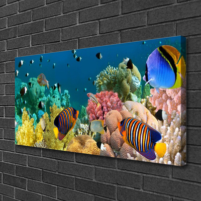 Quadro em tela Natureza dos recifes de corais