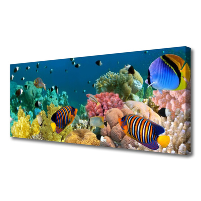 Quadro em tela Natureza dos recifes de corais