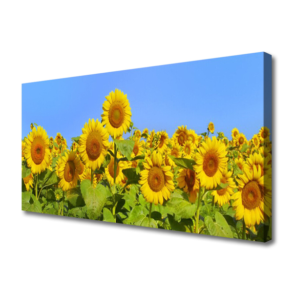 Quadro canvas Planta de flor de girassol