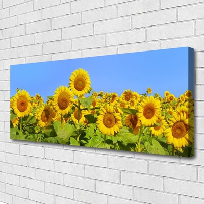 Quadro canvas Planta de flor de girassol