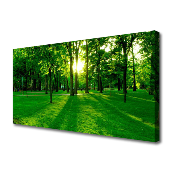 Quadro em tela Parque Florestal Natureza