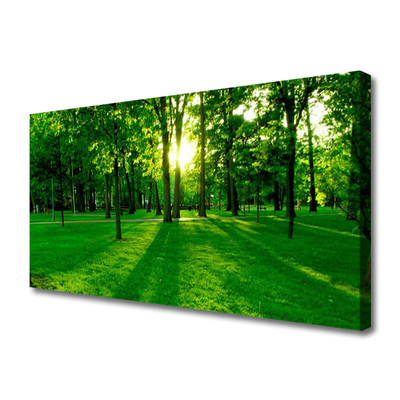 Quadro em tela Parque Florestal Natureza