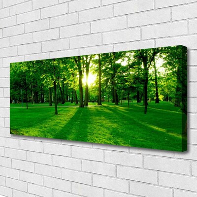 Quadro em tela Parque Florestal Natureza