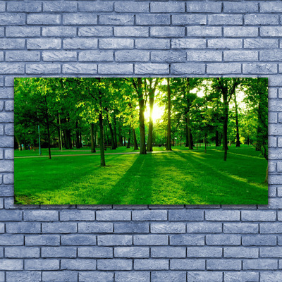 Quadro em tela Parque Florestal Natureza