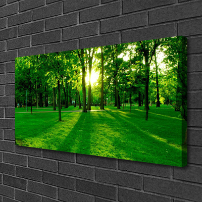 Quadro em tela Parque Florestal Natureza