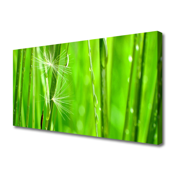 Quadro canvas Natureza da planta grama