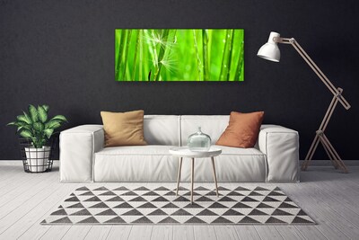 Quadro canvas Natureza da planta grama