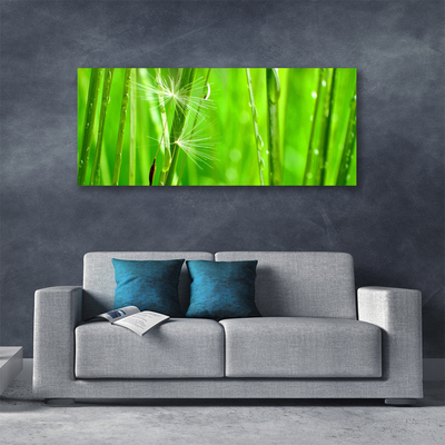 Quadro canvas Natureza da planta grama