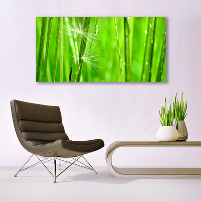 Quadro canvas Natureza da planta grama