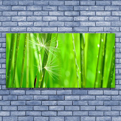Quadro canvas Natureza da planta grama