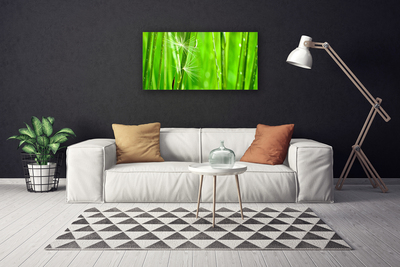 Quadro canvas Natureza da planta grama