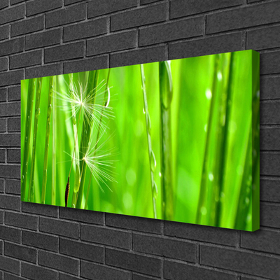 Quadro canvas Natureza da planta grama