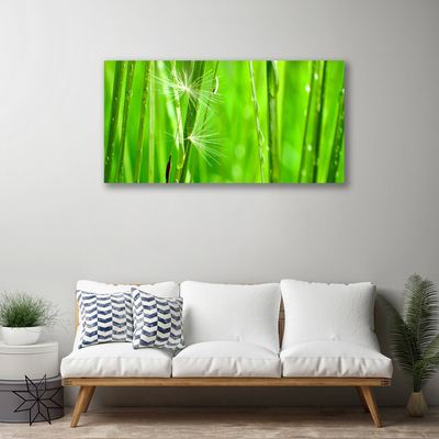 Quadro canvas Natureza da planta grama
