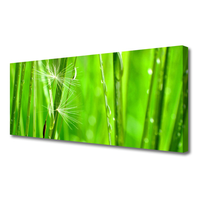 Quadro canvas Natureza da planta grama