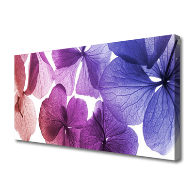 Quadro em tela Flores Planta Natureza