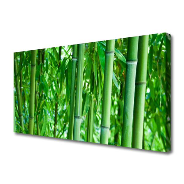 Quadro em tela Planta de caule de bambu