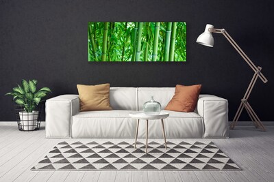 Quadro em tela Planta de caule de bambu