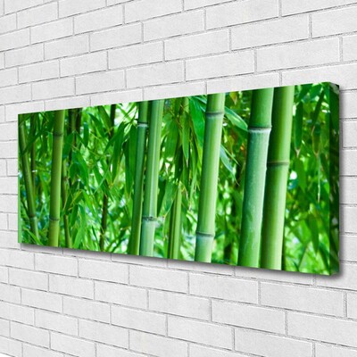 Quadro em tela Planta de caule de bambu