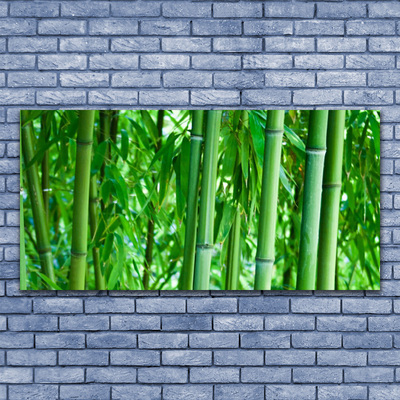 Quadro em tela Planta de caule de bambu