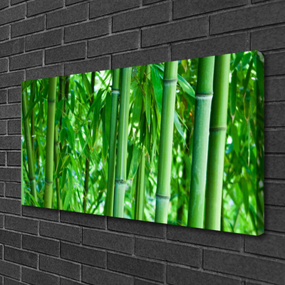 Quadro em tela Planta de caule de bambu