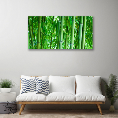 Quadro em tela Planta de caule de bambu