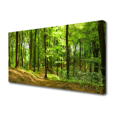 Quadro canvas Trilha da Natureza da Floresta