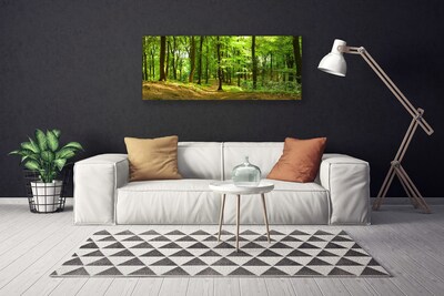 Quadro canvas Trilha da Natureza da Floresta