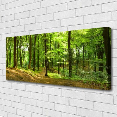 Quadro canvas Trilha da Natureza da Floresta