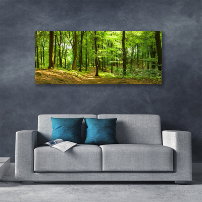 Quadro canvas Trilha da Natureza da Floresta