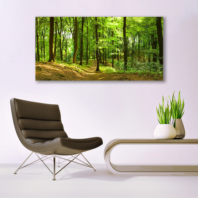 Quadro canvas Trilha da Natureza da Floresta