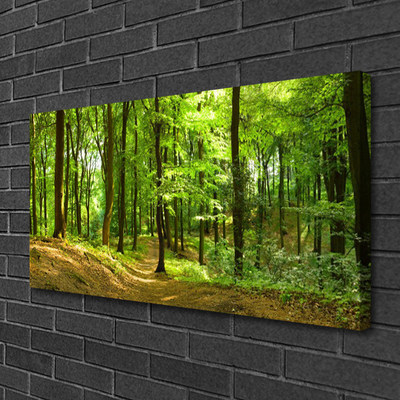 Quadro canvas Trilha da Natureza da Floresta