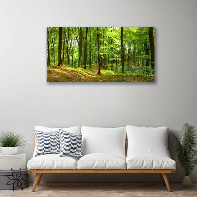 Quadro canvas Trilha da Natureza da Floresta