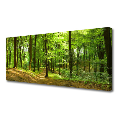 Quadro canvas Trilha da Natureza da Floresta