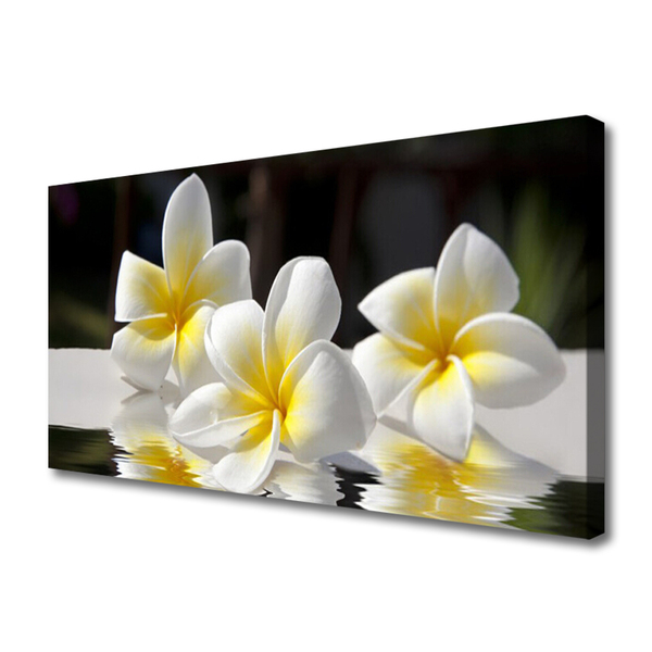 Quadro em tela Flores Planta Natureza