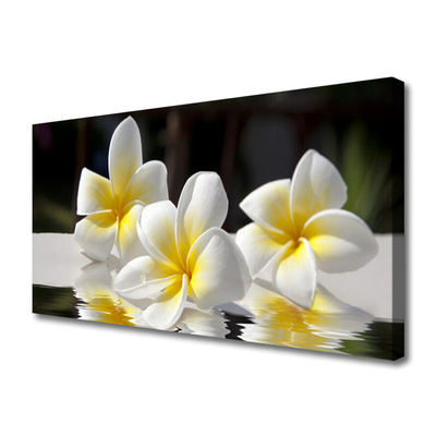 Quadro em tela Flores Planta Natureza