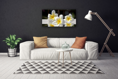 Quadro em tela Flores Planta Natureza