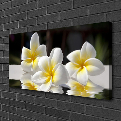 Quadro em tela Flores Planta Natureza