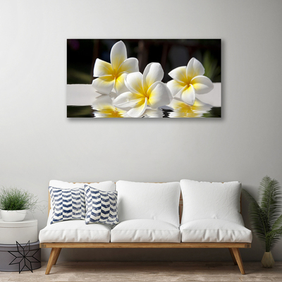 Quadro em tela Flores Planta Natureza